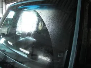 強力なウロコ取り　