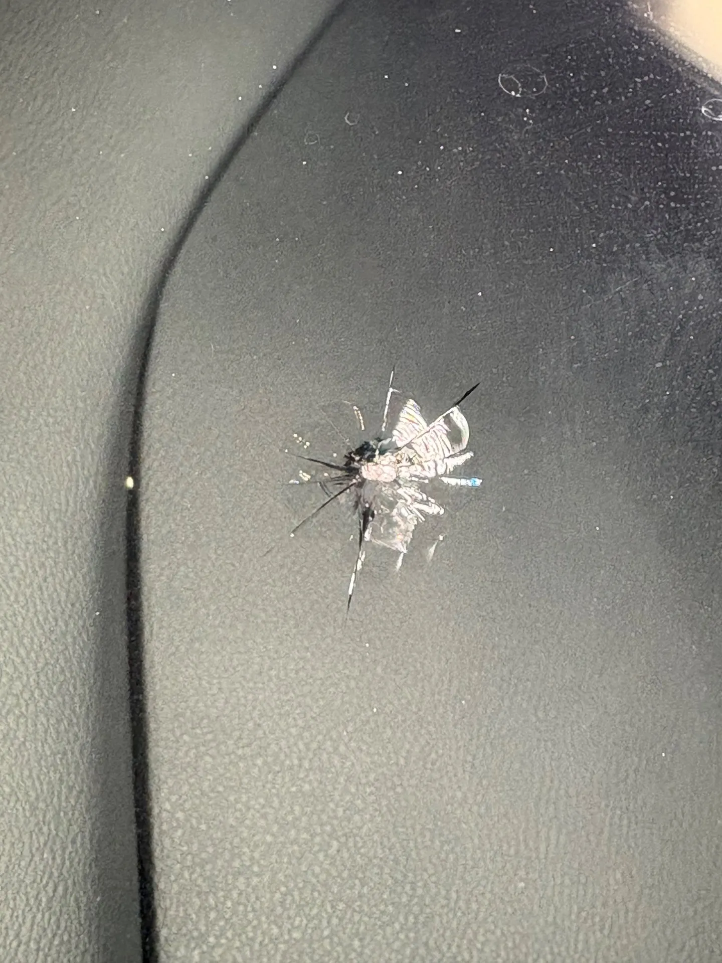 三陸自動車道路で飛び石